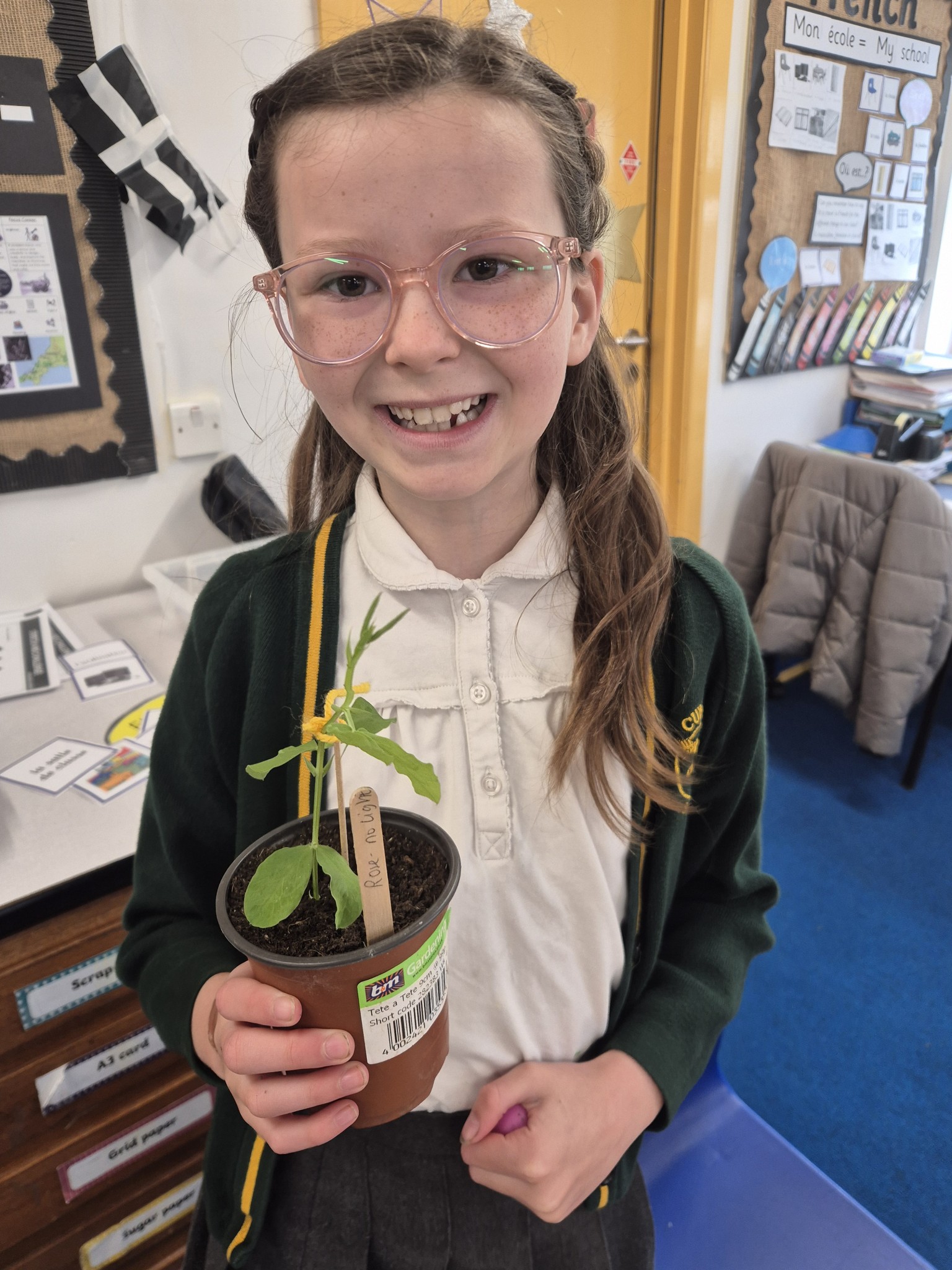 Discovering what it is that plants need to grow the most.