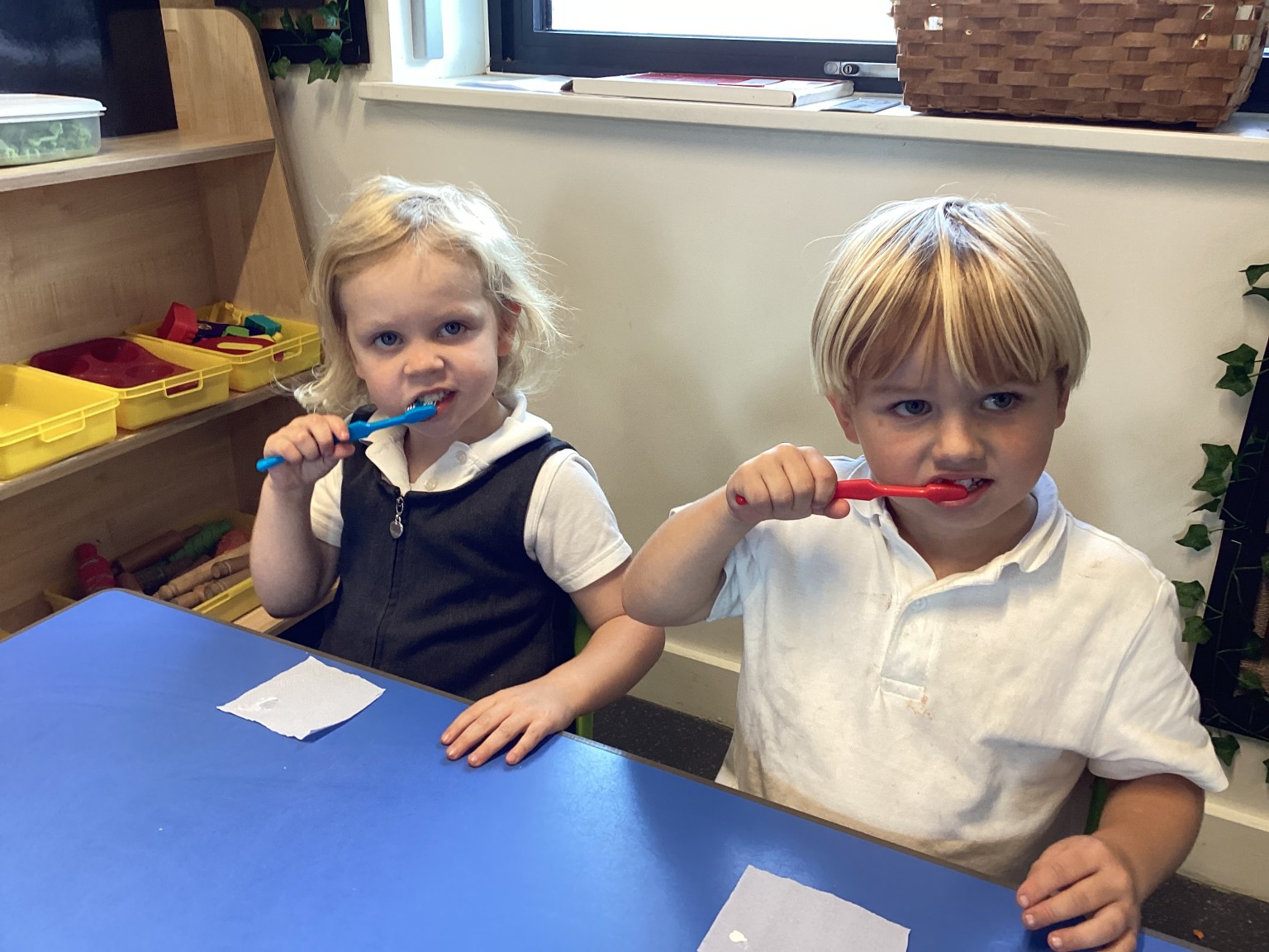 Daily tooth brushing.