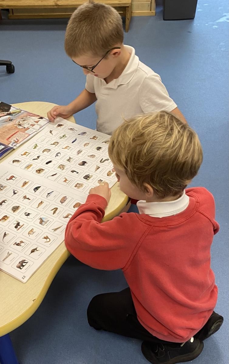 "We like looking at different animals."