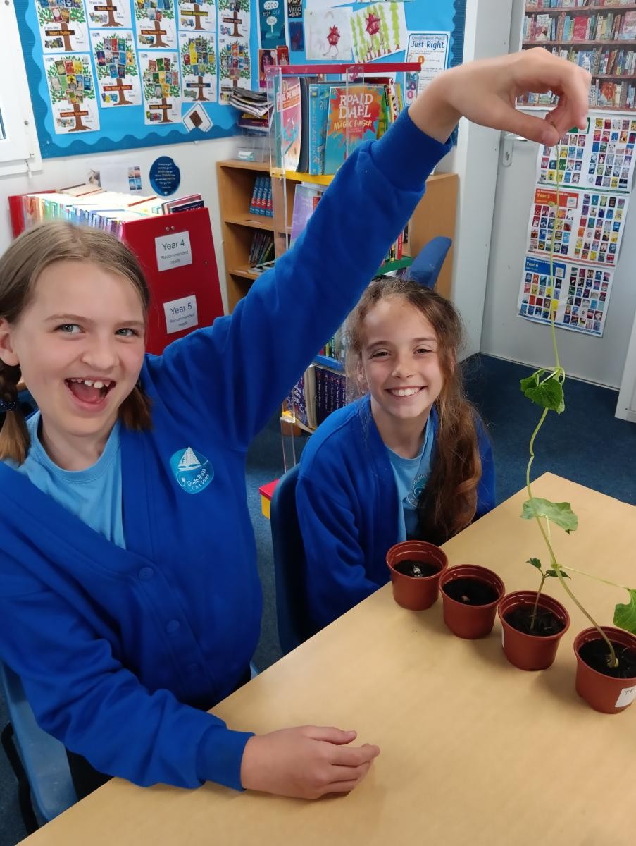 May - Our investigation: What do plants need to survive?