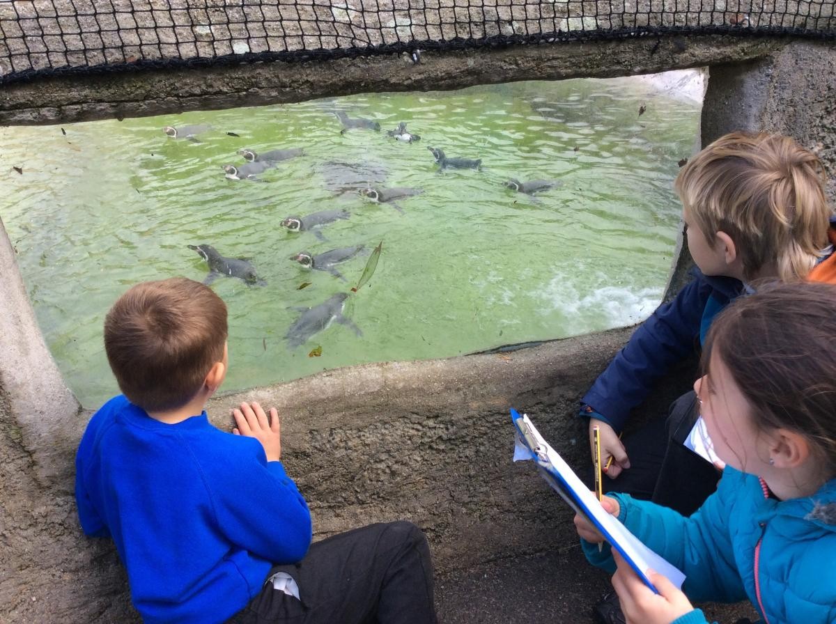 Trip to Newquay Zoo