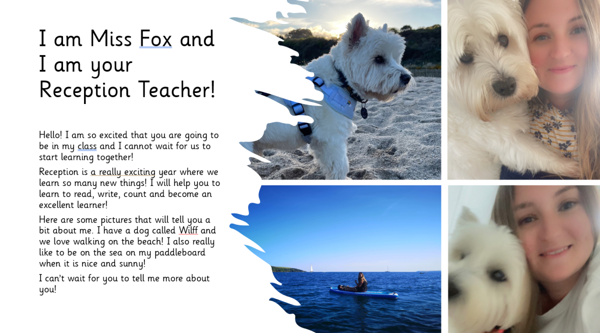 Meet Miss Fox
