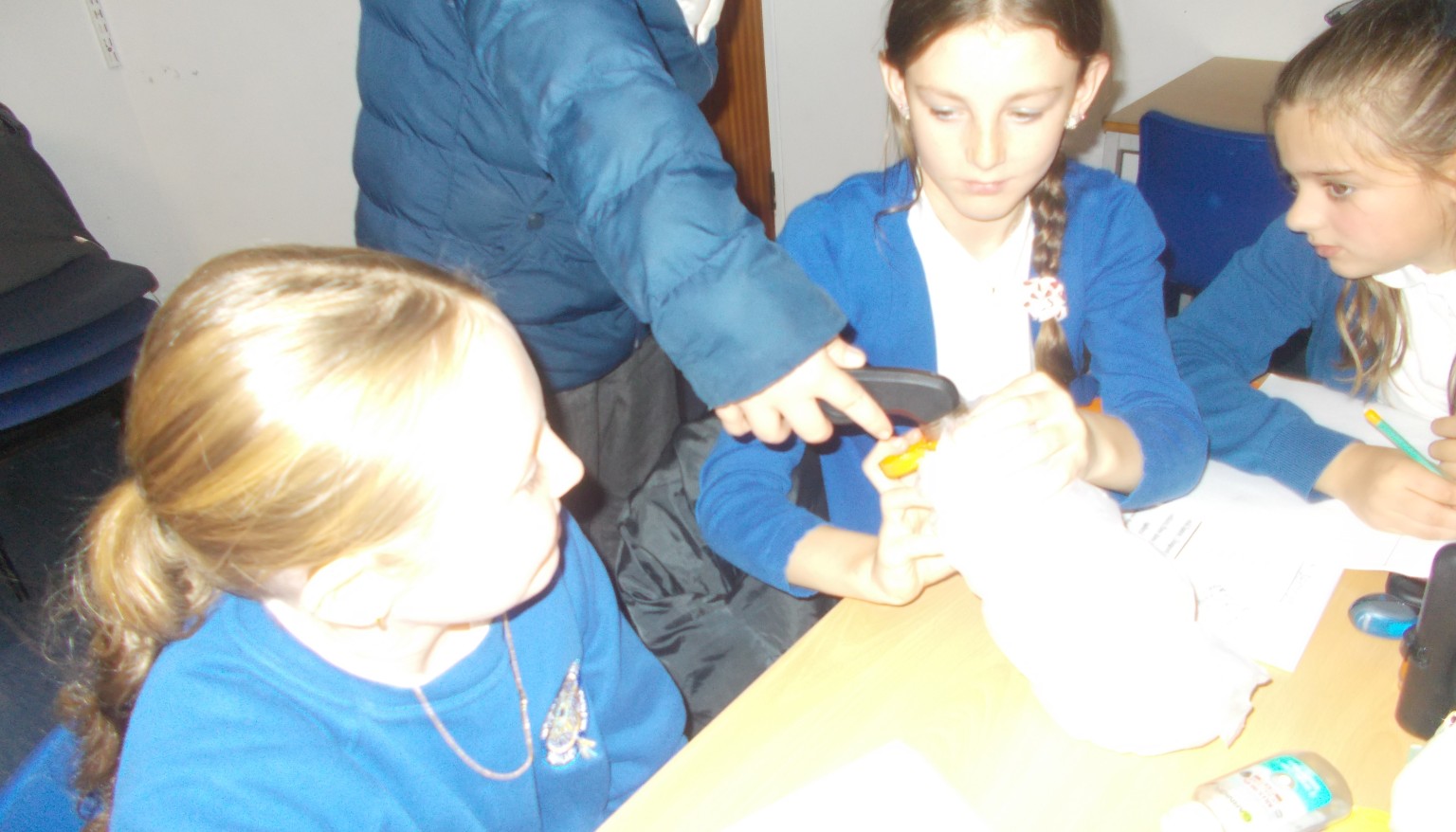 Science investigation.