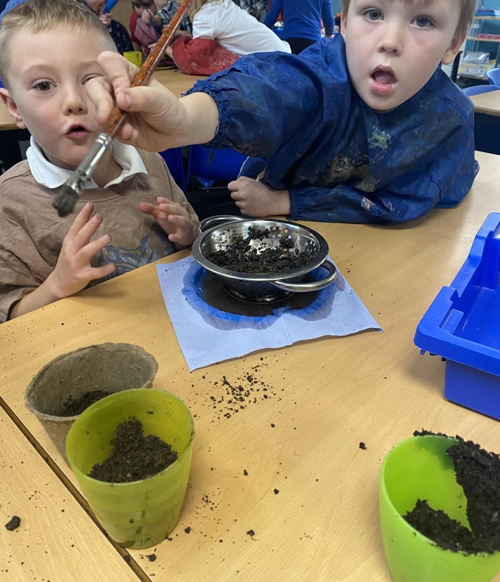 Year 2 carried out investigations using different types of soil.