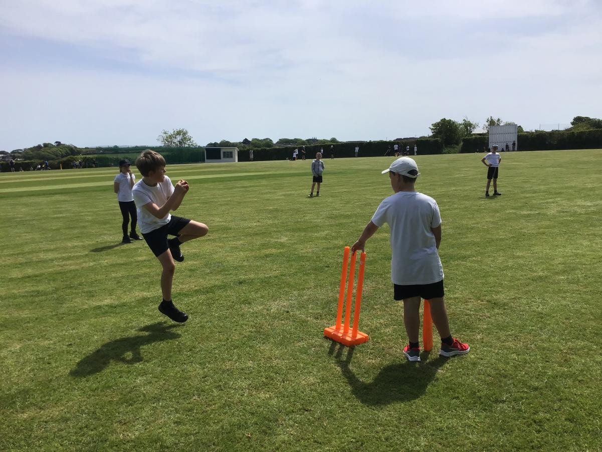Year 5 cricket festival.