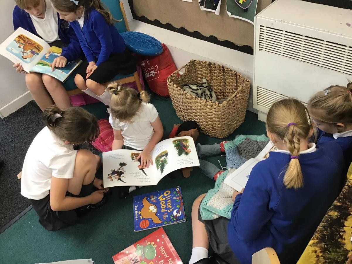“Sometimes the children tell us about their books at home and they love talk about the pictures and answering questions.” - Year 6 pupil 