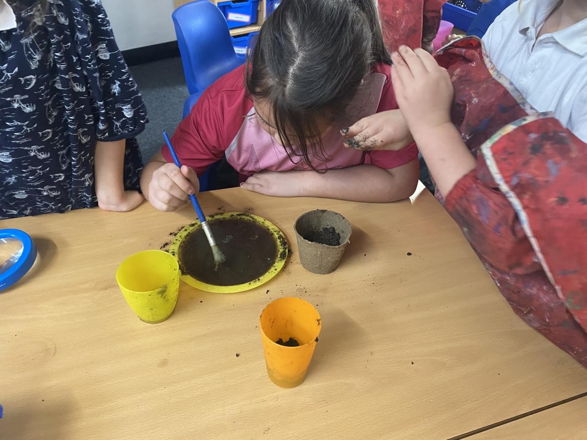 Year 2 carried out investigations using different types of soil.
