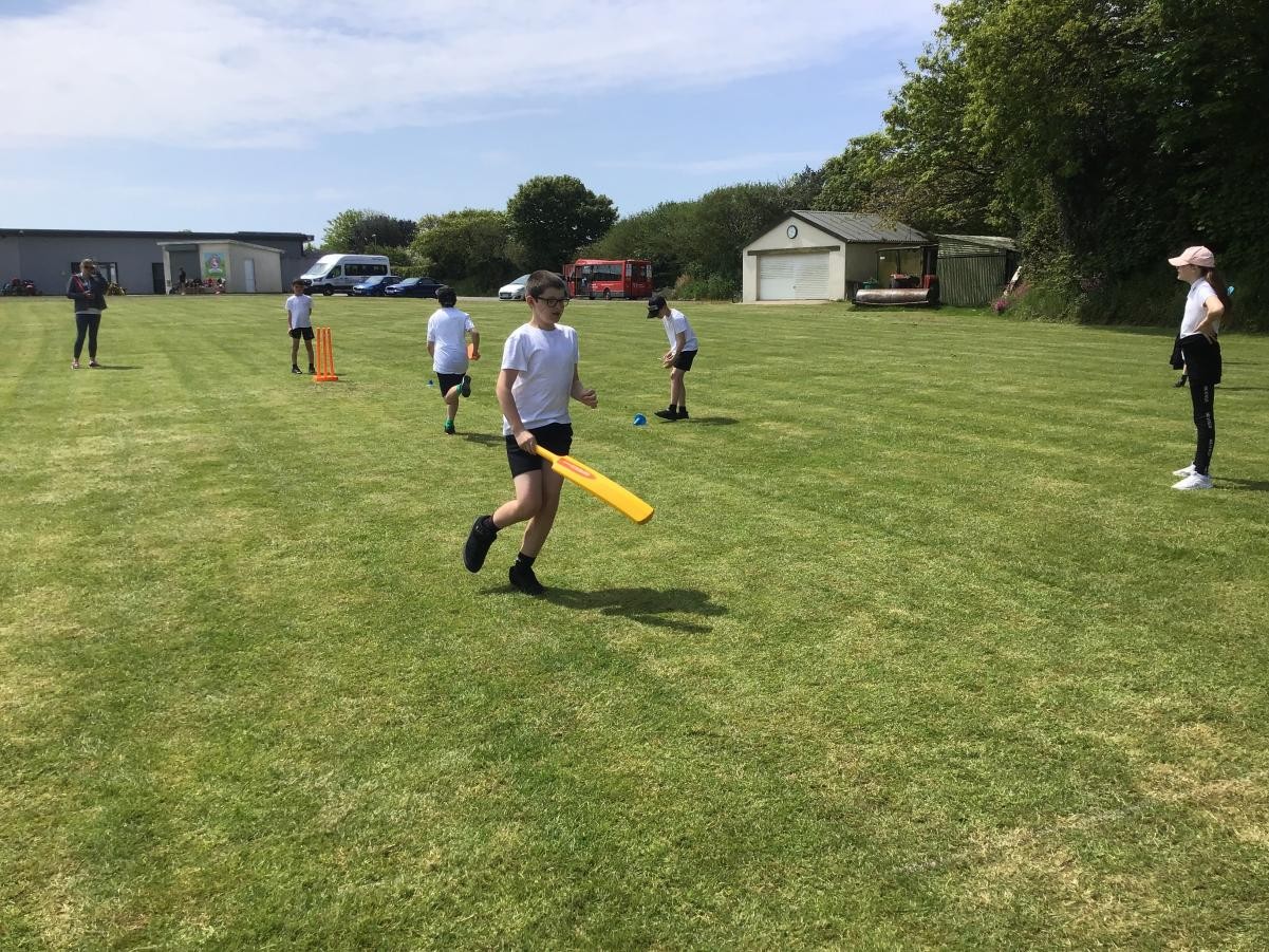 Year 5 cricket festival.