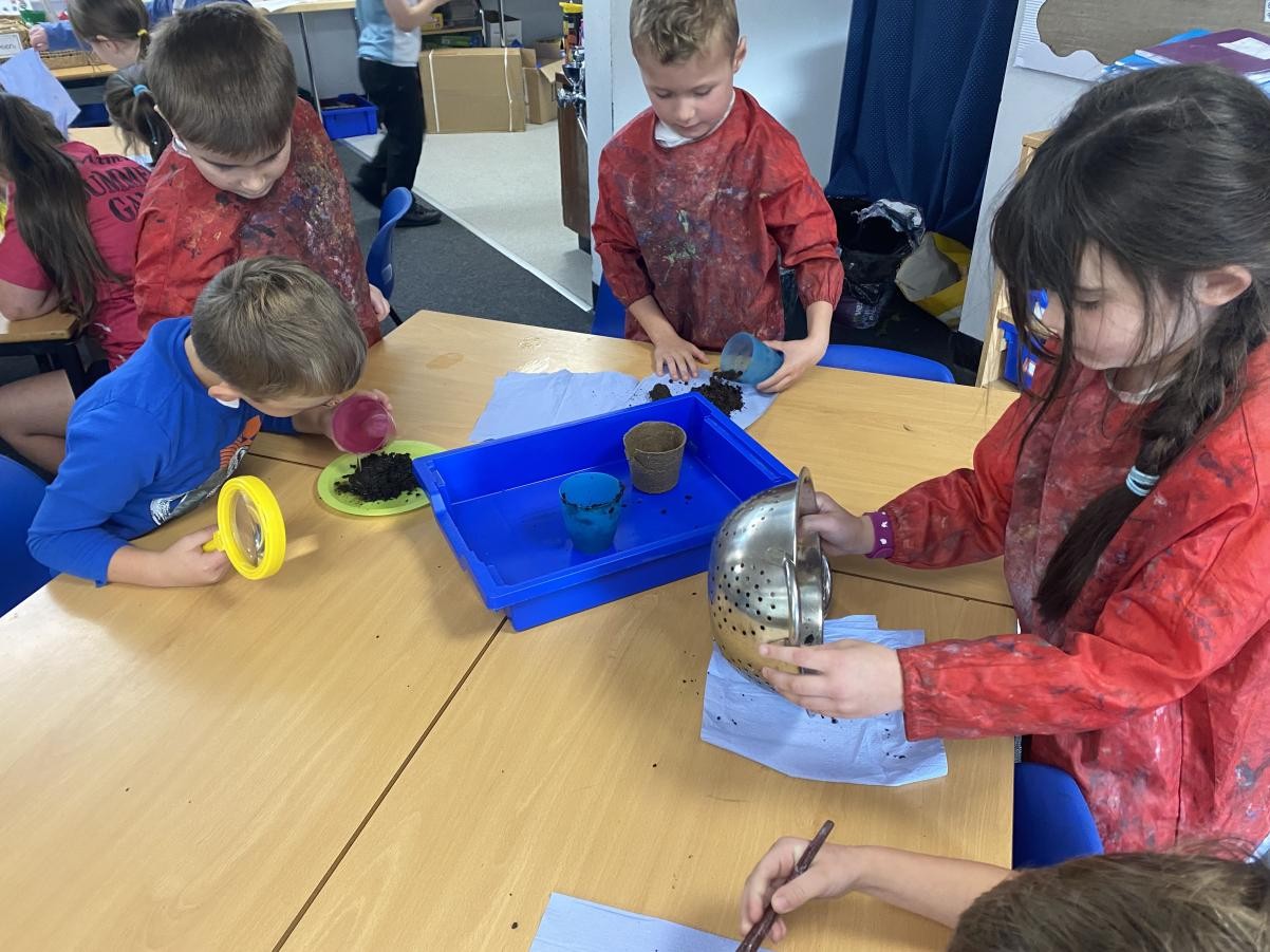 Year 2 carried out investigations using different types of soil.