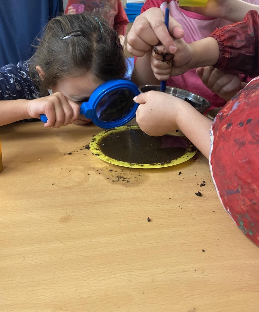 Year 2 carried out investigations using different types of soil.