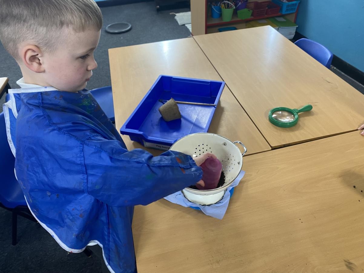 Year 2 carried out investigations using different types of soil.
