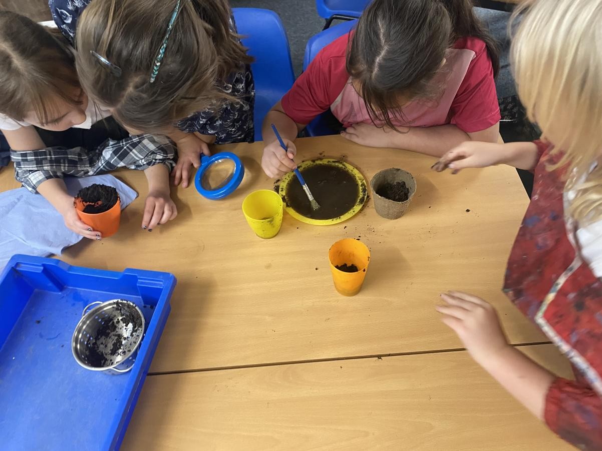 Year 2 carried out investigations using different types of soil.