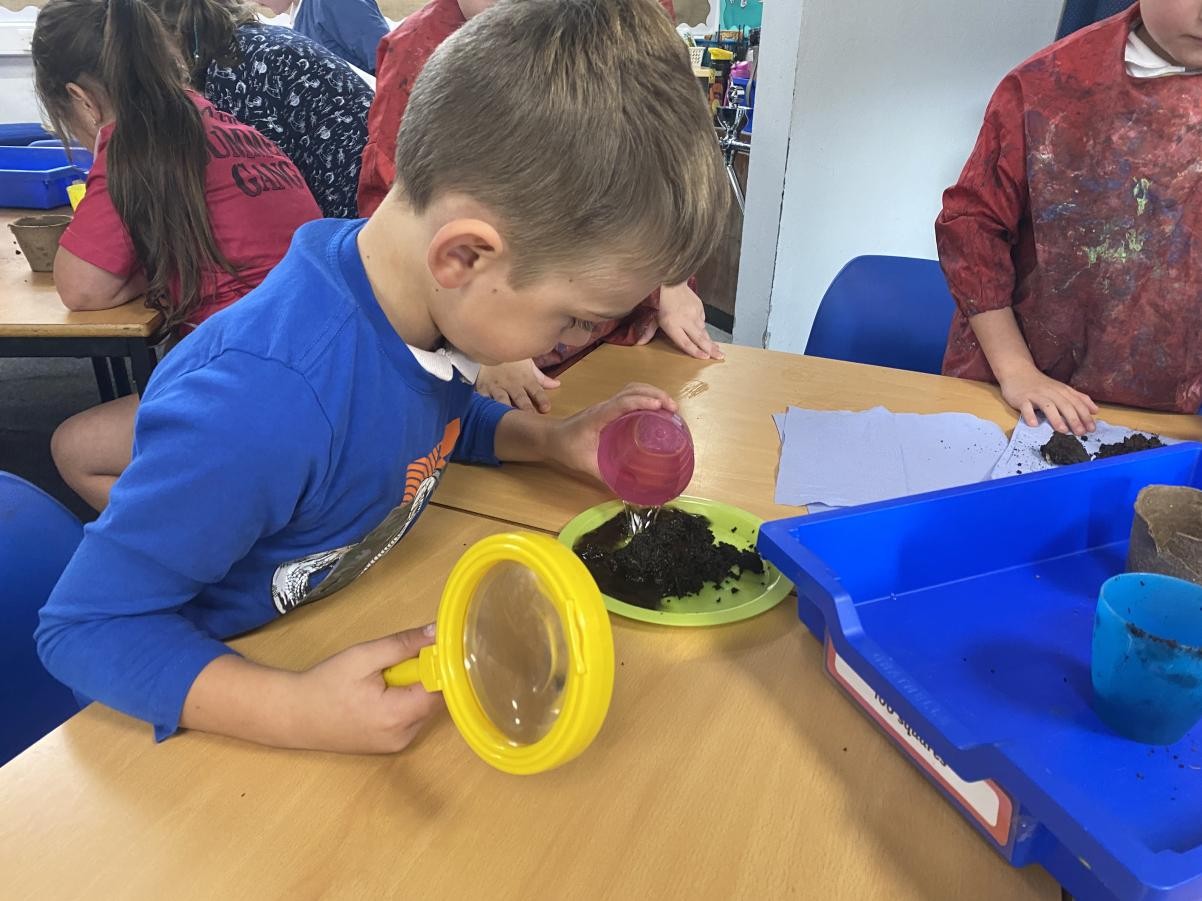 Year 2 carried out investigations using different types of soil.