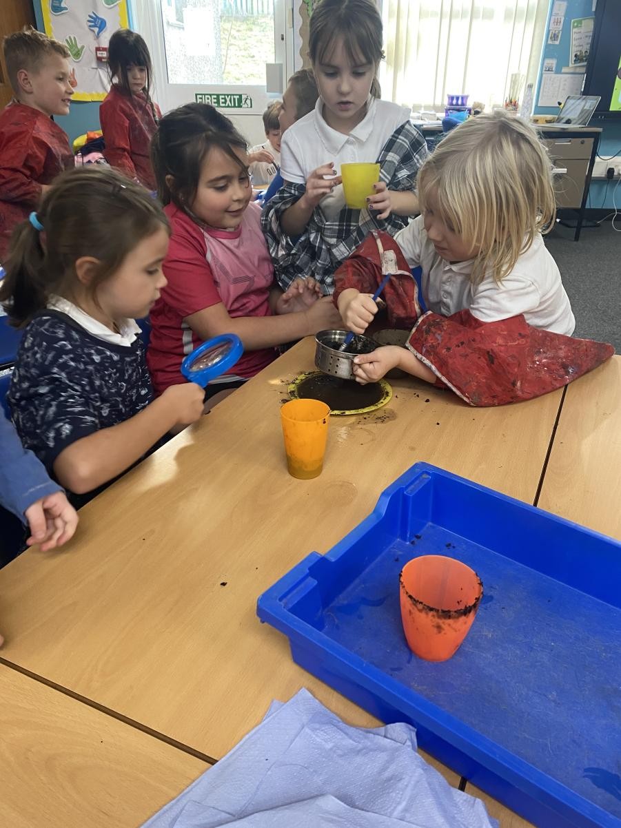 Year 2 carried out investigations using different types of soil.