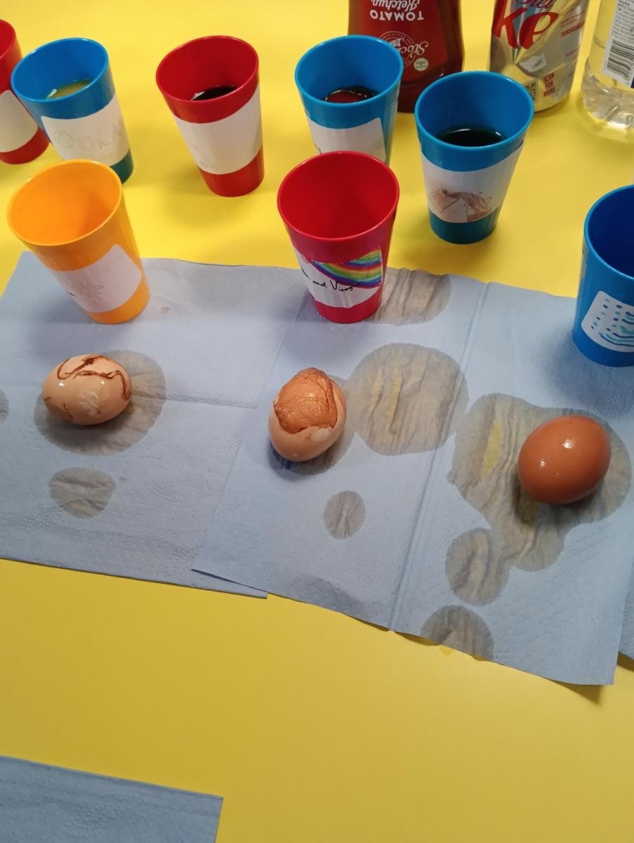 Can a test be set up to explore the effects of tooth decay?