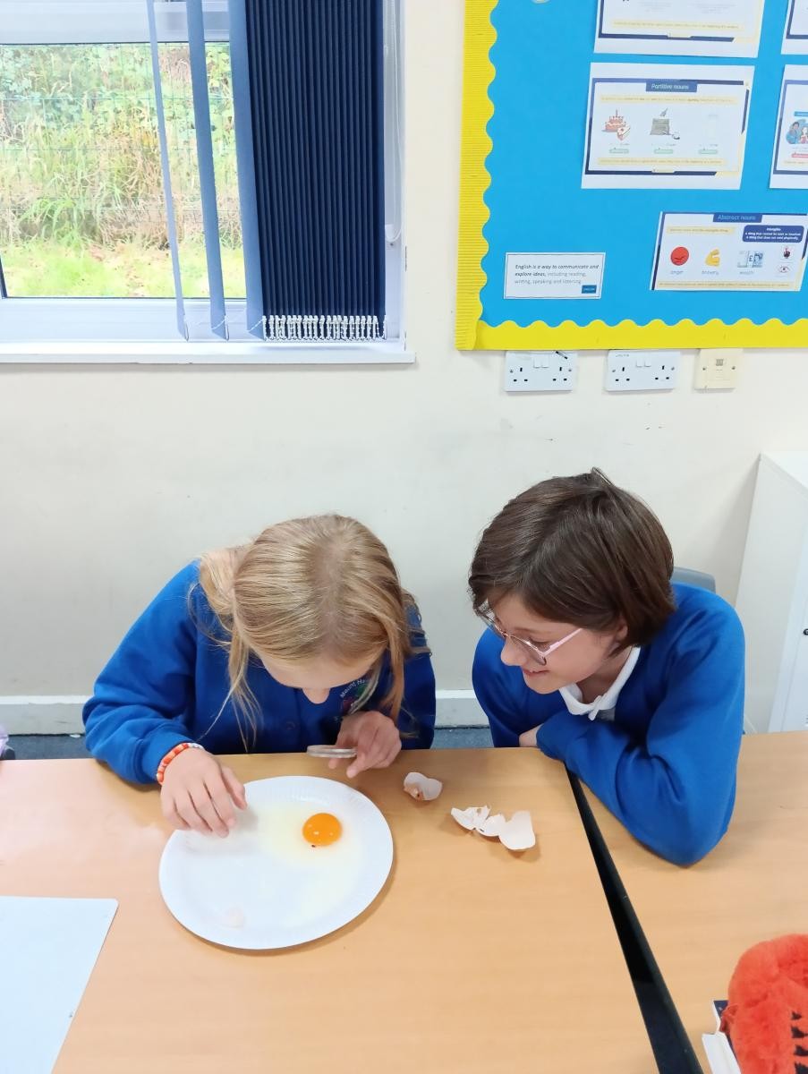 Thinking about life cycles