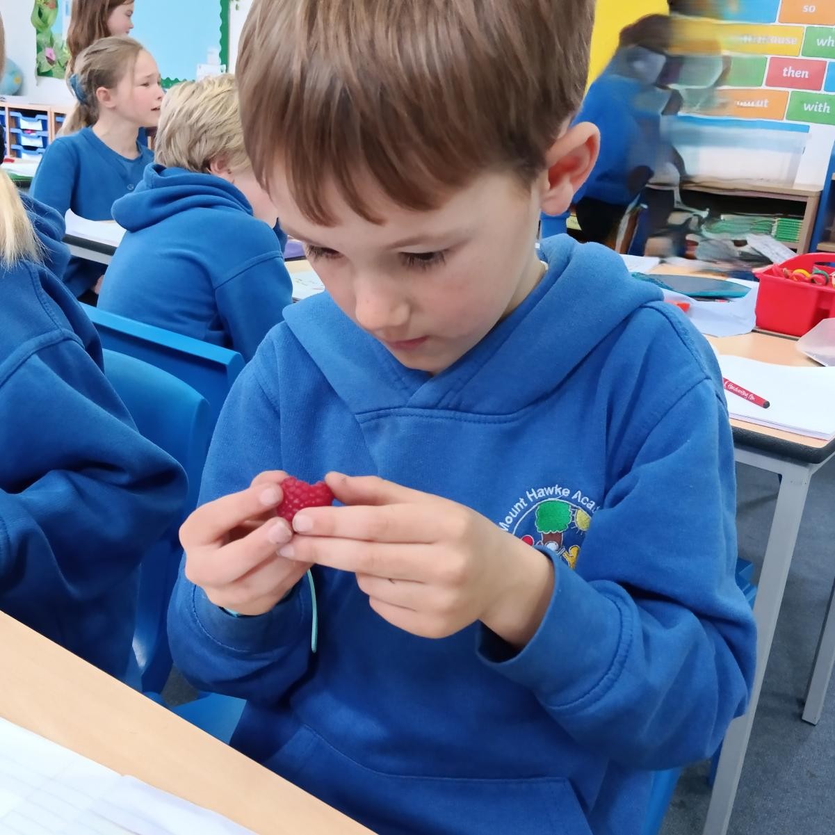 Looking carefully at where the seeds are found on different fruits.