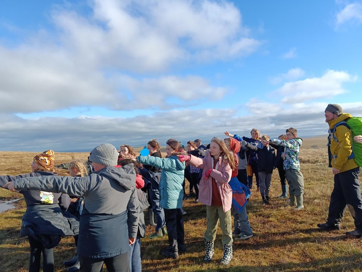 Looking at landscapes