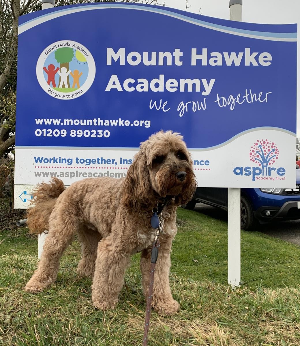Chewy is very proud of working at our school!
