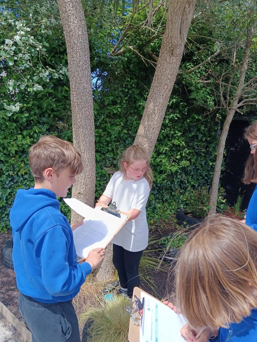 What can we find in our grounds?