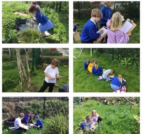 Finding Out About Plants