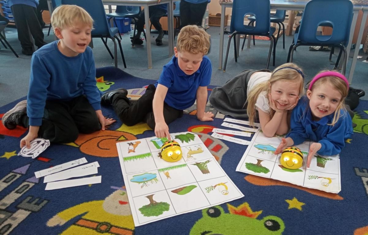 Exploring following algorithms using the Beebots
