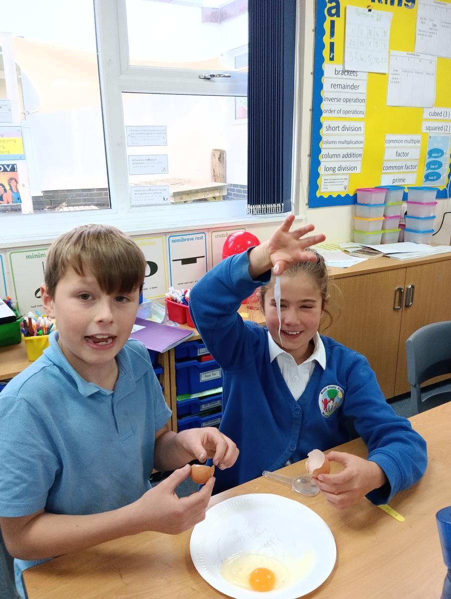 Exploring eggs