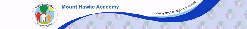Mount Hawke Academy