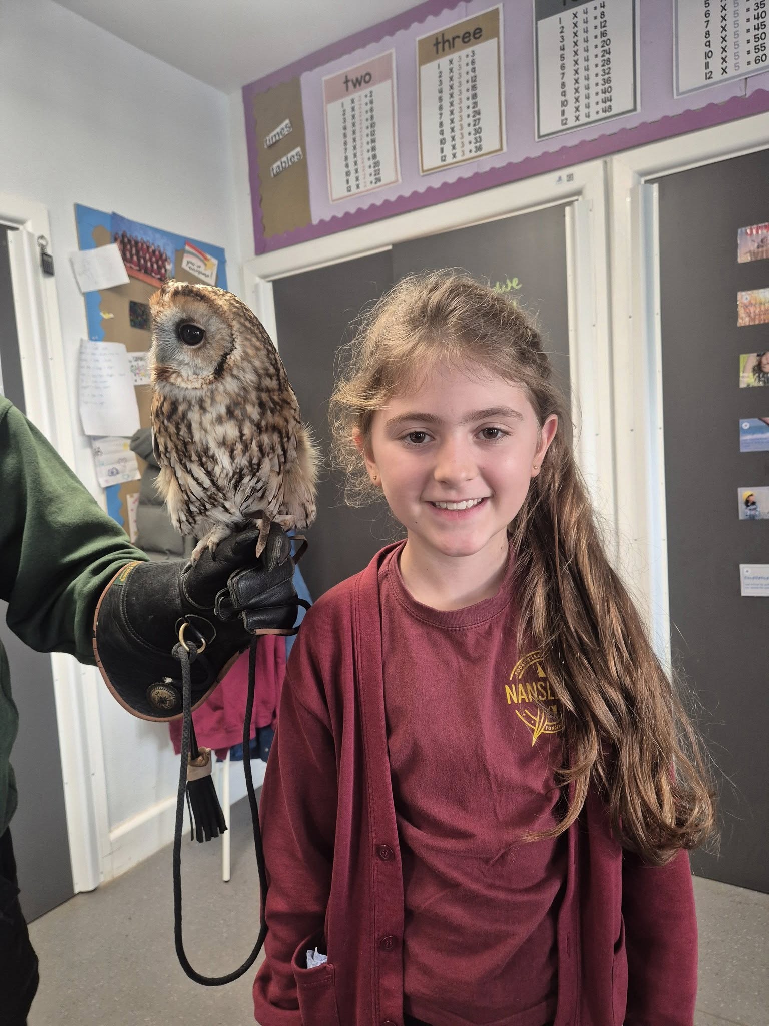 Screech Owl Sanctuary Visit