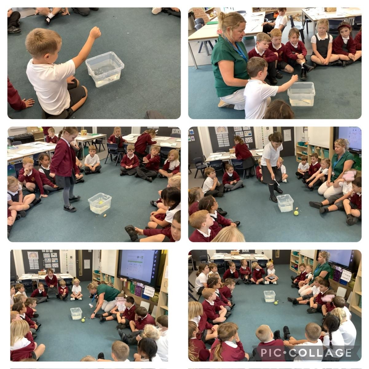 Science - floating and sinking