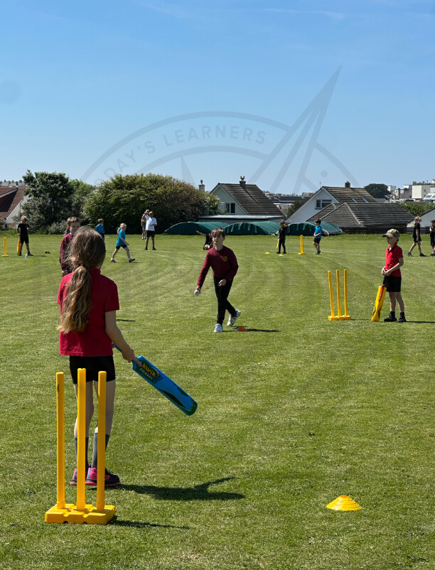 Cricket