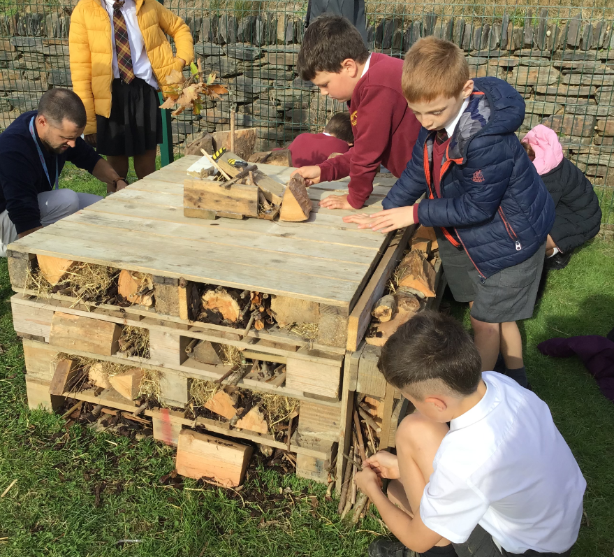Year 5 - Building bug hotels to encourage insects