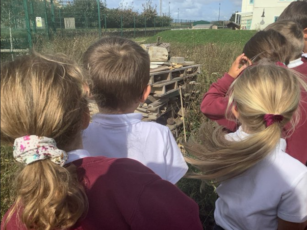 Curie investigating micro-habitats on the School Field