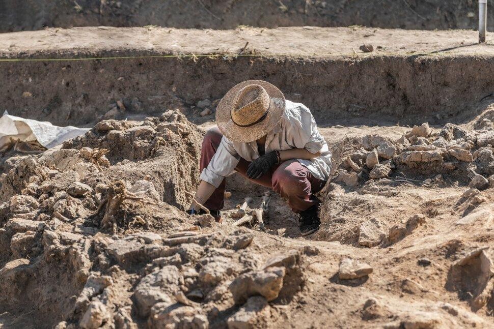 ARCHAELOGIST