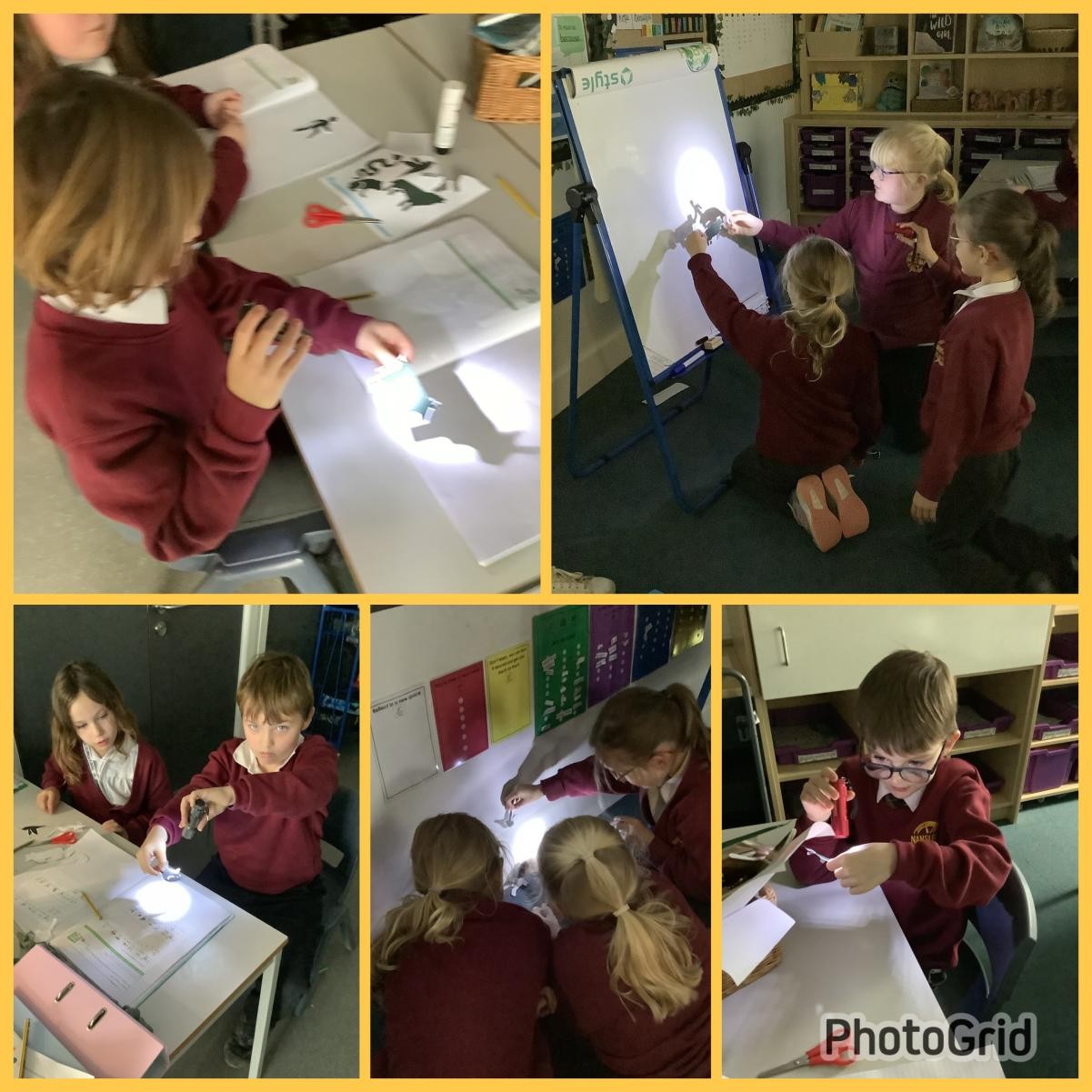 Exploring shadows in Science