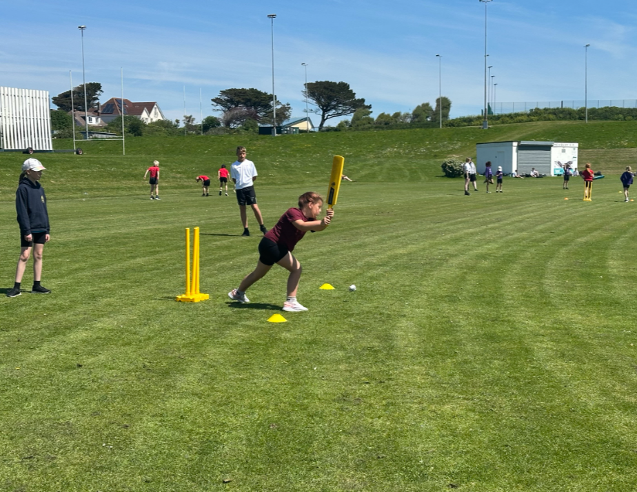 Cricket