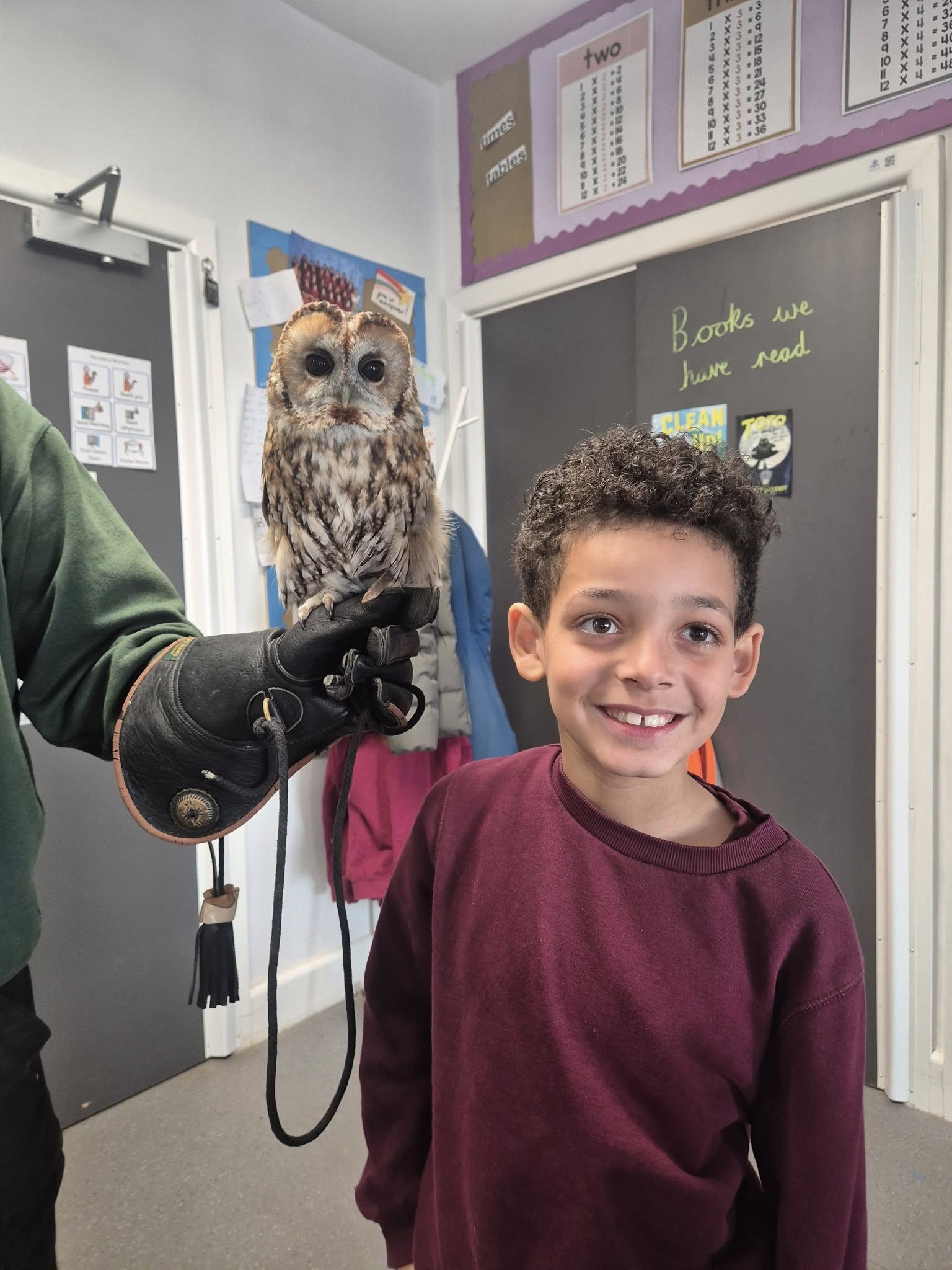 Screech Owl Sanctuary Visit