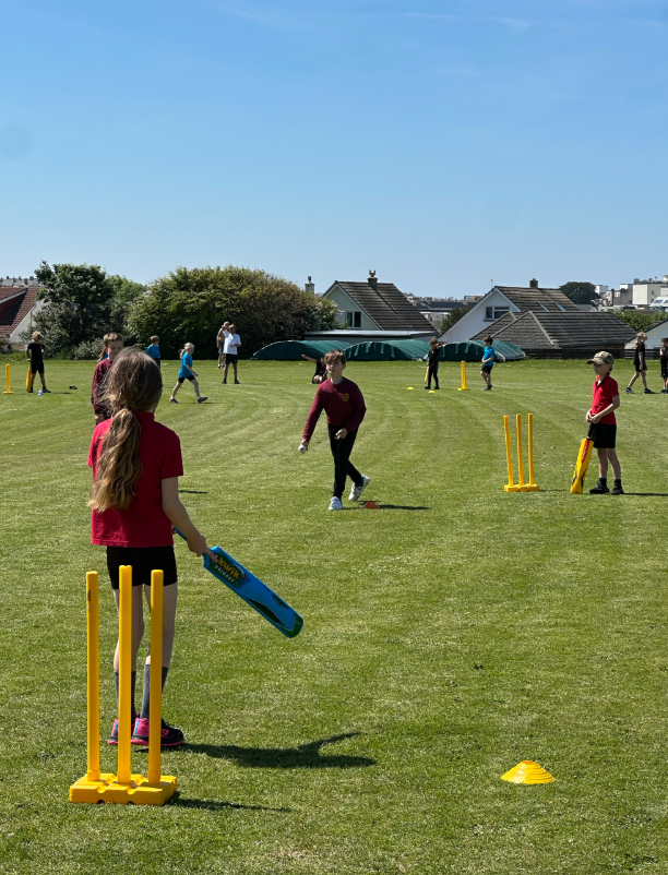 Cricket