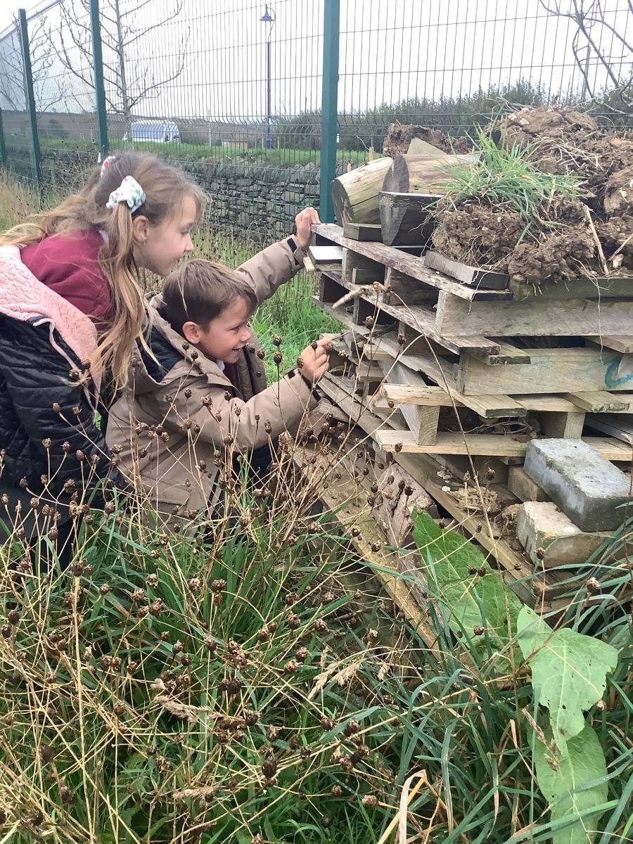 Exploring microhabitats.