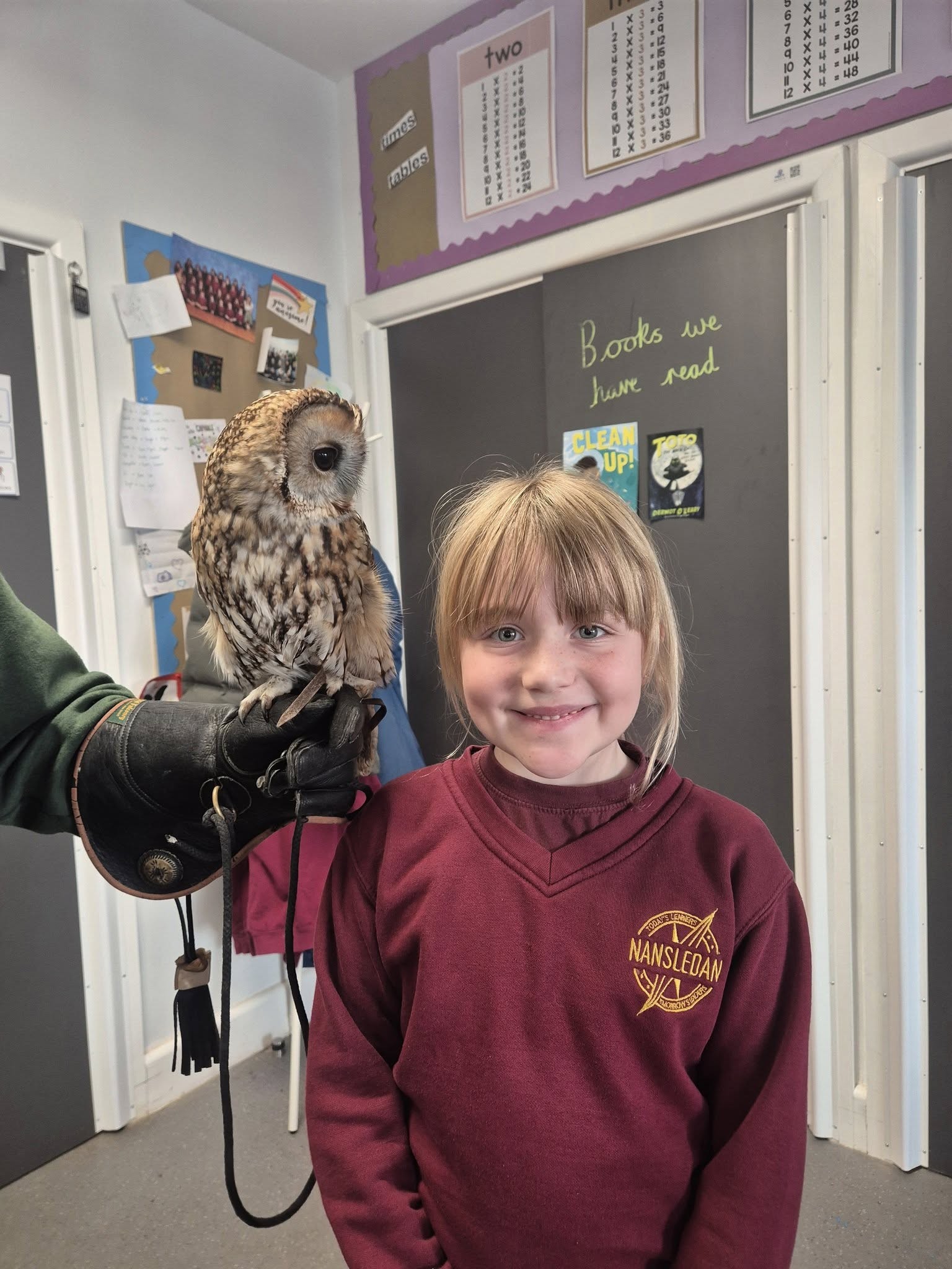 Screech Owl Sanctuary Visit