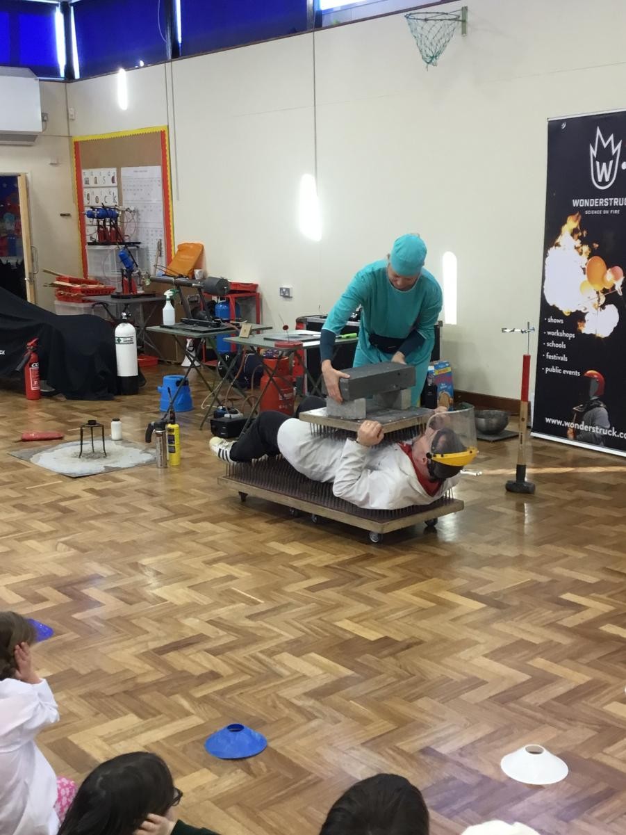 Science Show from Wonderstruck on Science Day 