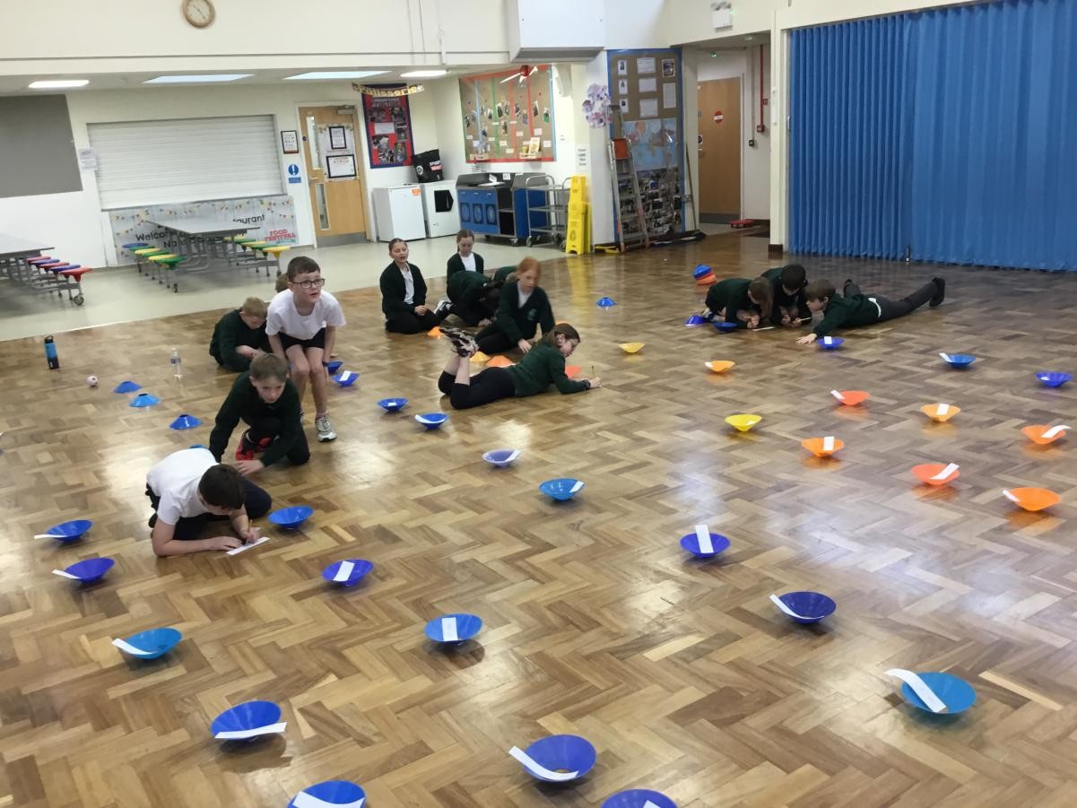 Year 5 active maths - learning division rules 