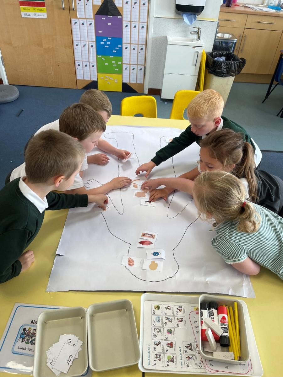 Labelling the body parts in science 