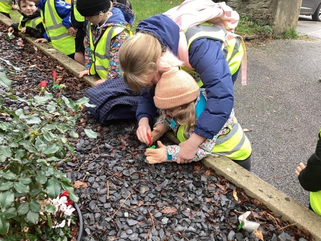 Laying poppies at the church memorial garden in Padstow