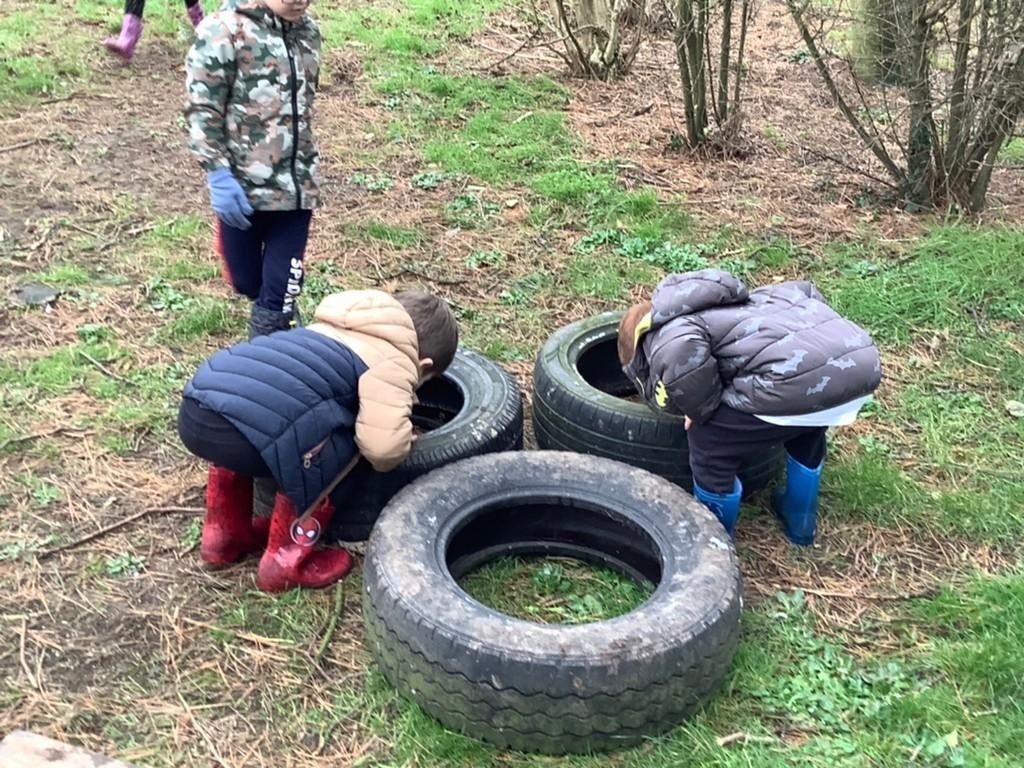 Investigating using our senses 