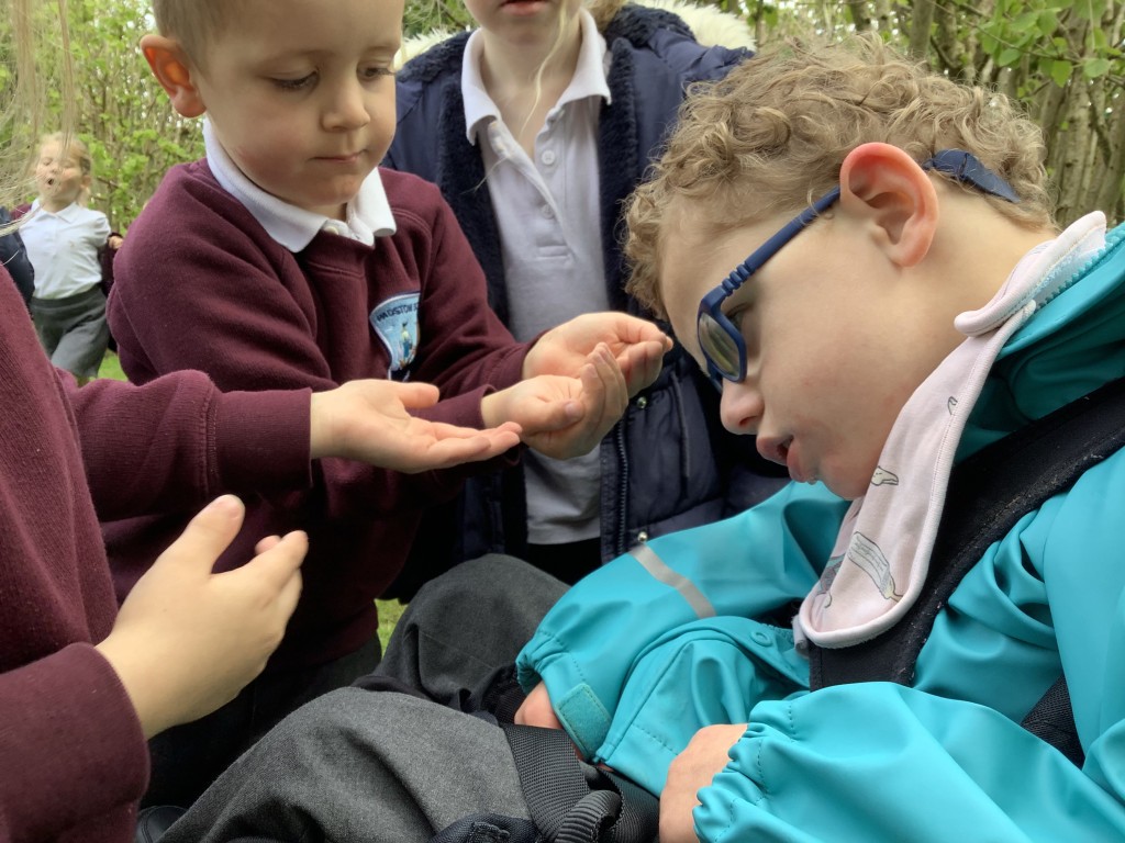 Exploring nature