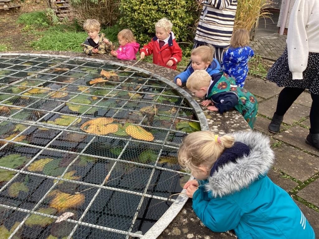 Exploring the school pond and science garden