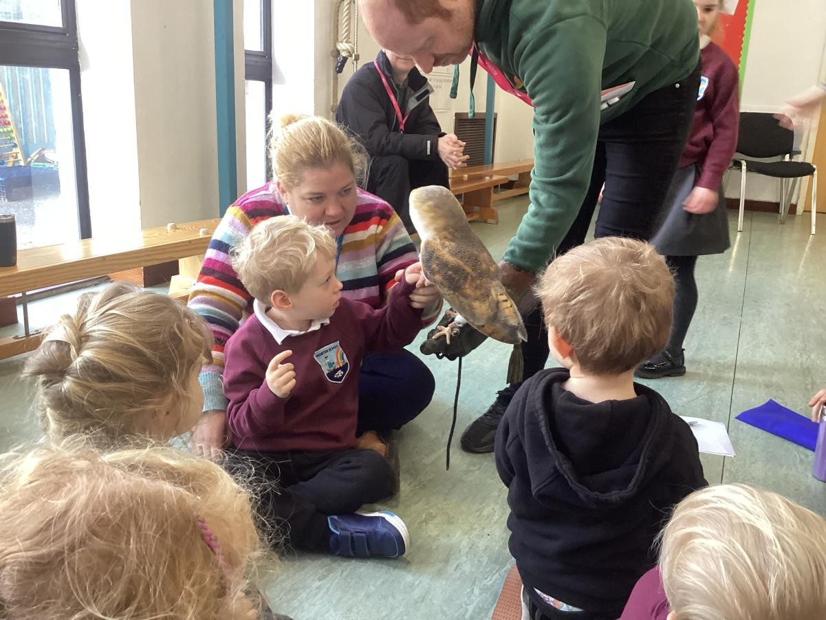 Having a visit from the Owl Sanctuary.