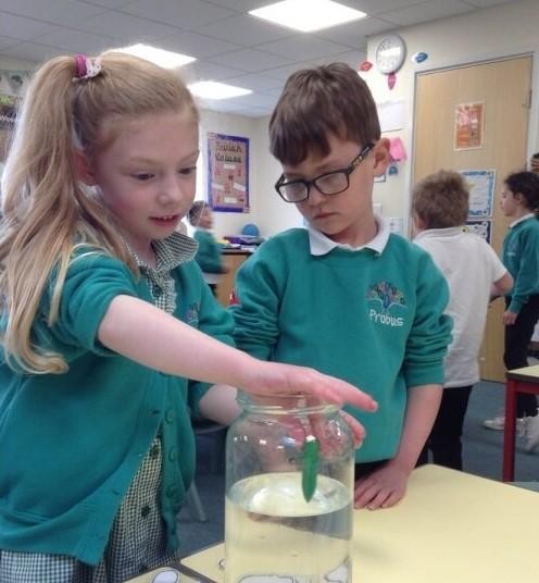 Science Club