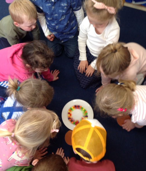 Our amazing science experiment - what happens when we add water to skittles?!